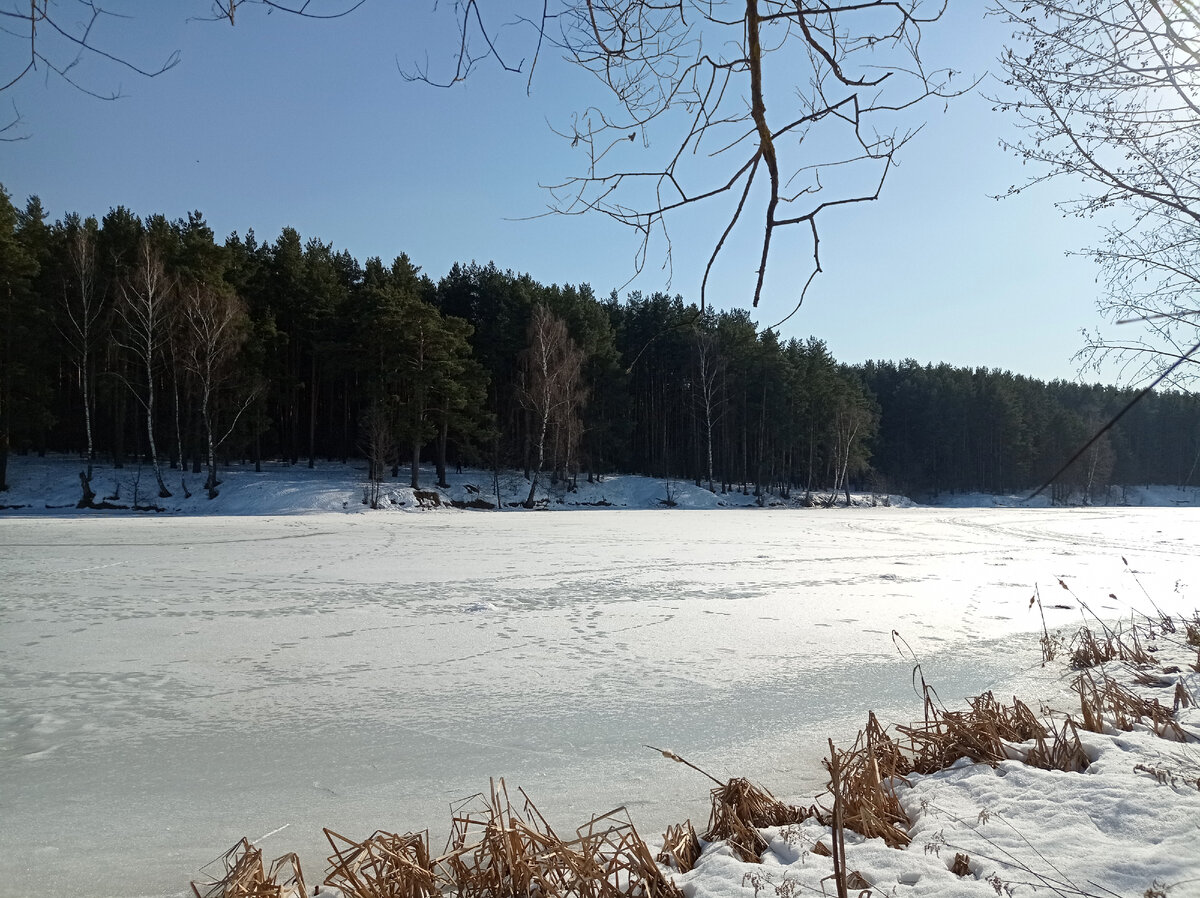 19.03.2022. С одной стороны от мостика река широкая...
