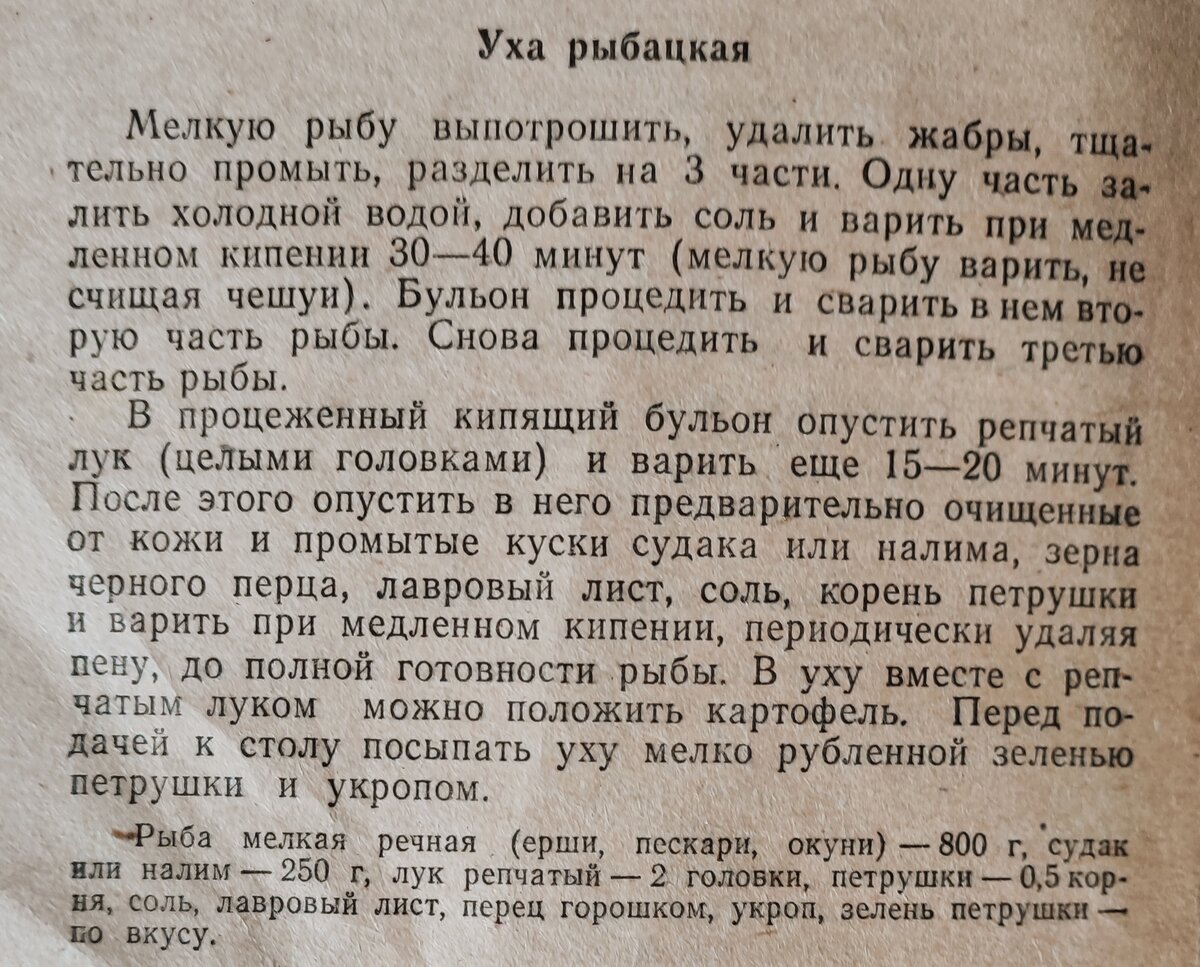 Рецепт ухи из старой книги. Вопрос в морковке. | Ритмы жизни | Дзен