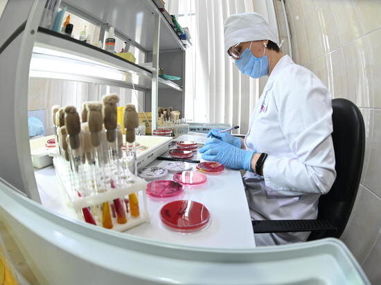     Фото: Людмила Ковалева