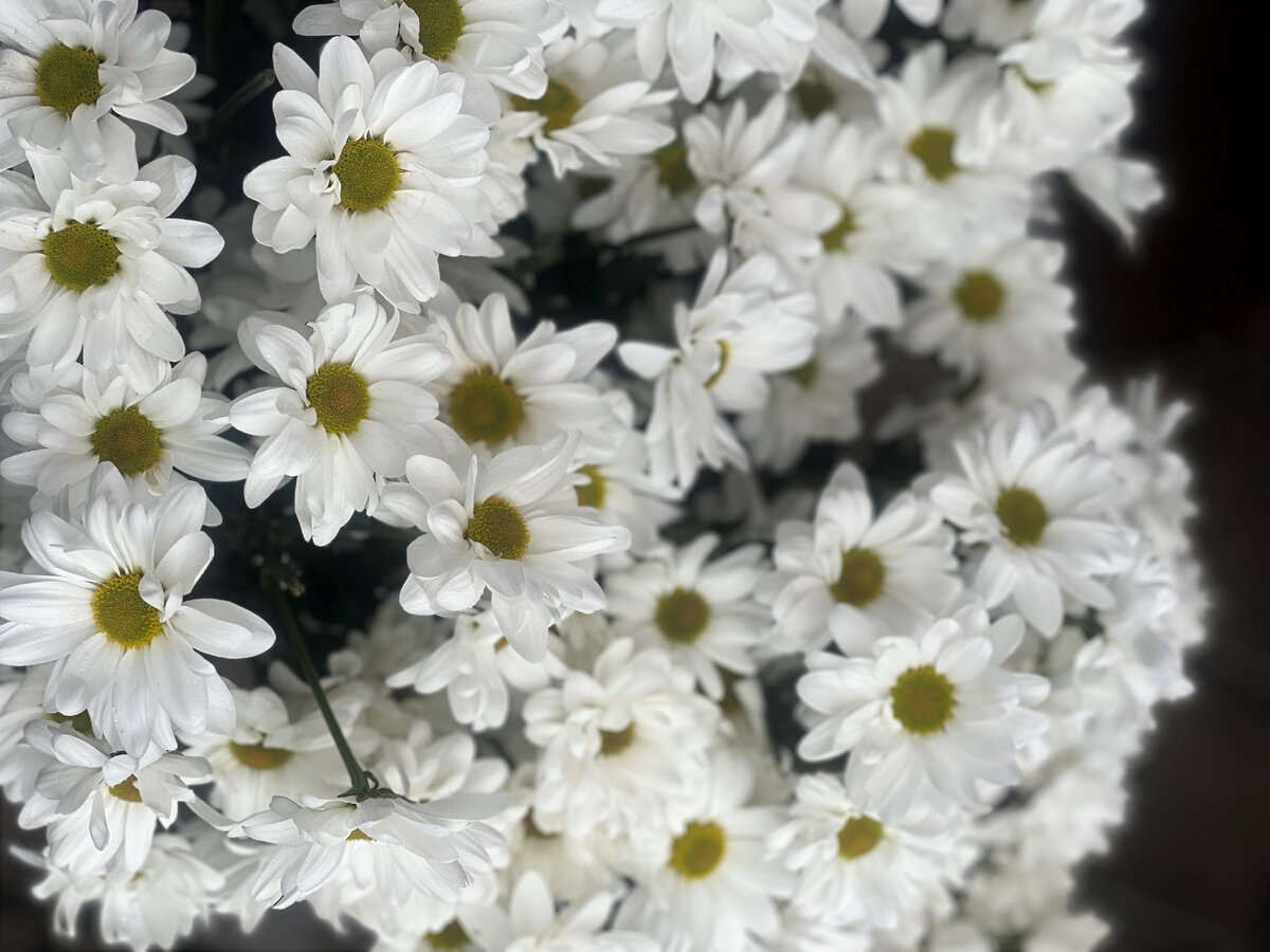 фото из архива автора