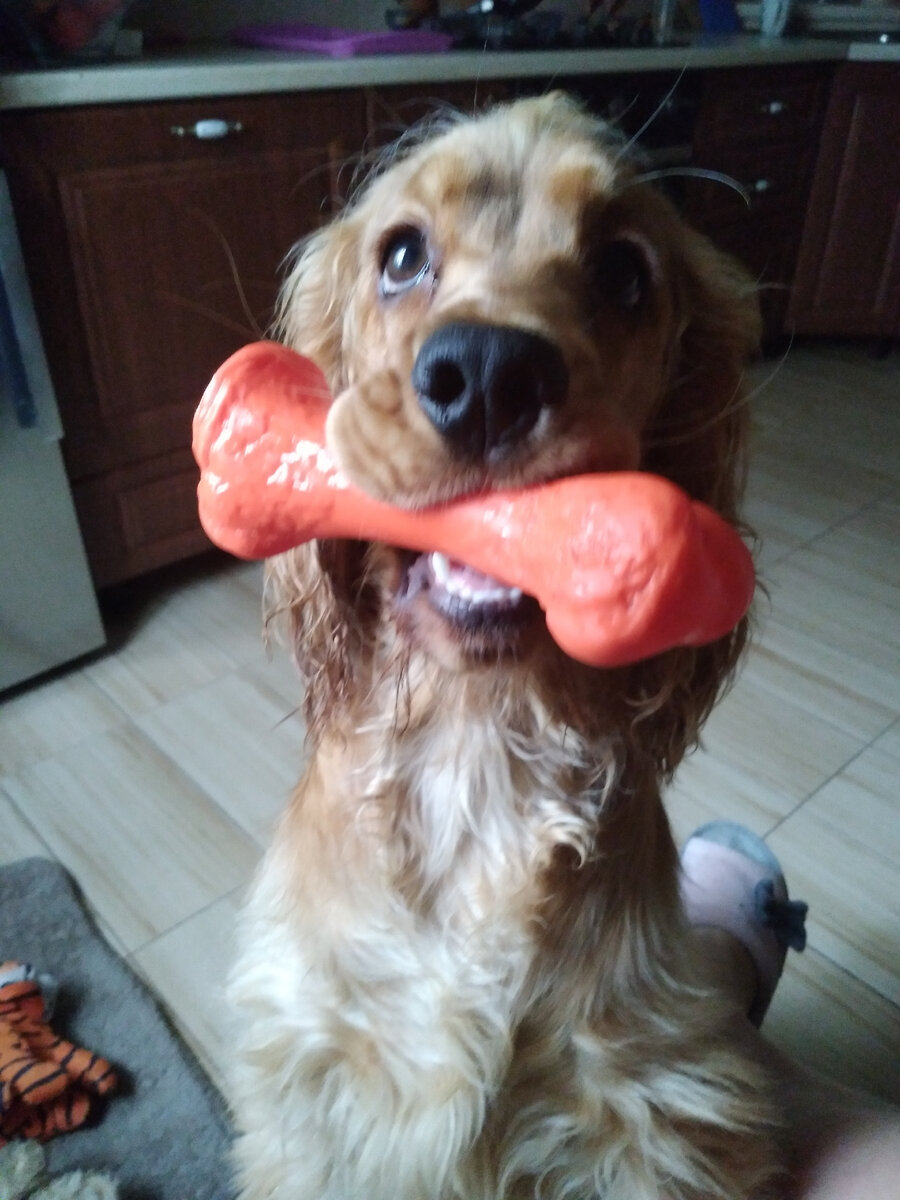 В процессе.