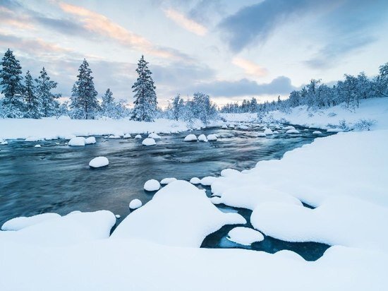     Фото: freepik.com