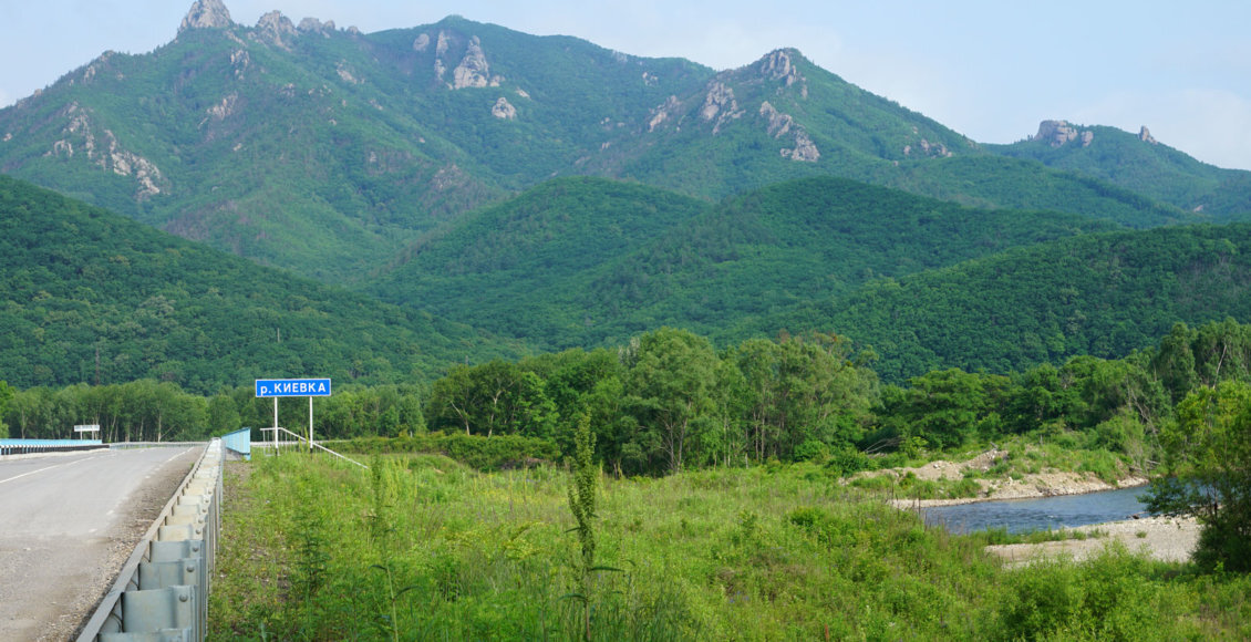    Фото: из открытых источников