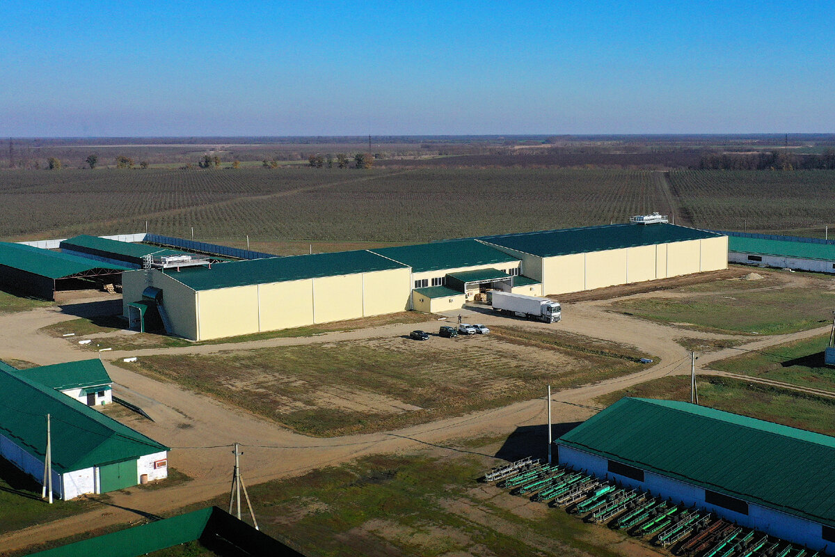 Производственная площадка АФ "ЛУЧ". В центре - новый холодильный комплекс