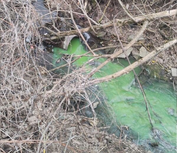 Источник фото: правительство Ростовской области