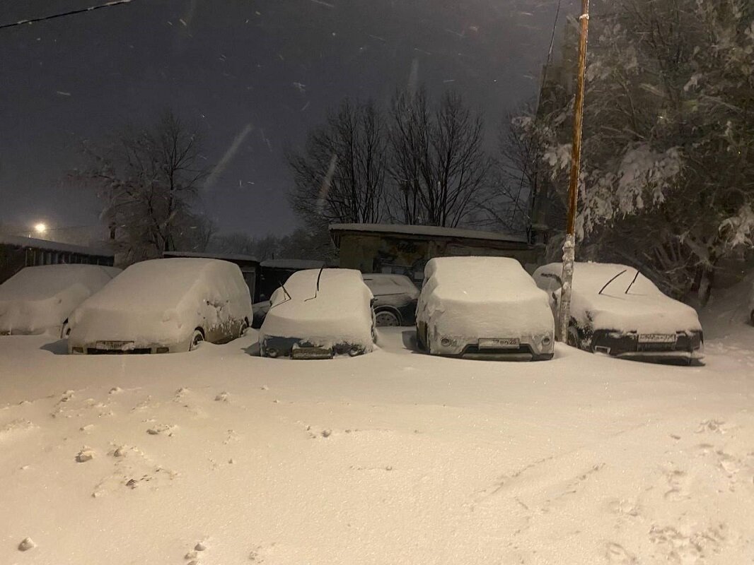 Осадки будут сопровождаться сильным ветром.  Фото: Фото: ФедералПресс/ Анастасия Полетаева