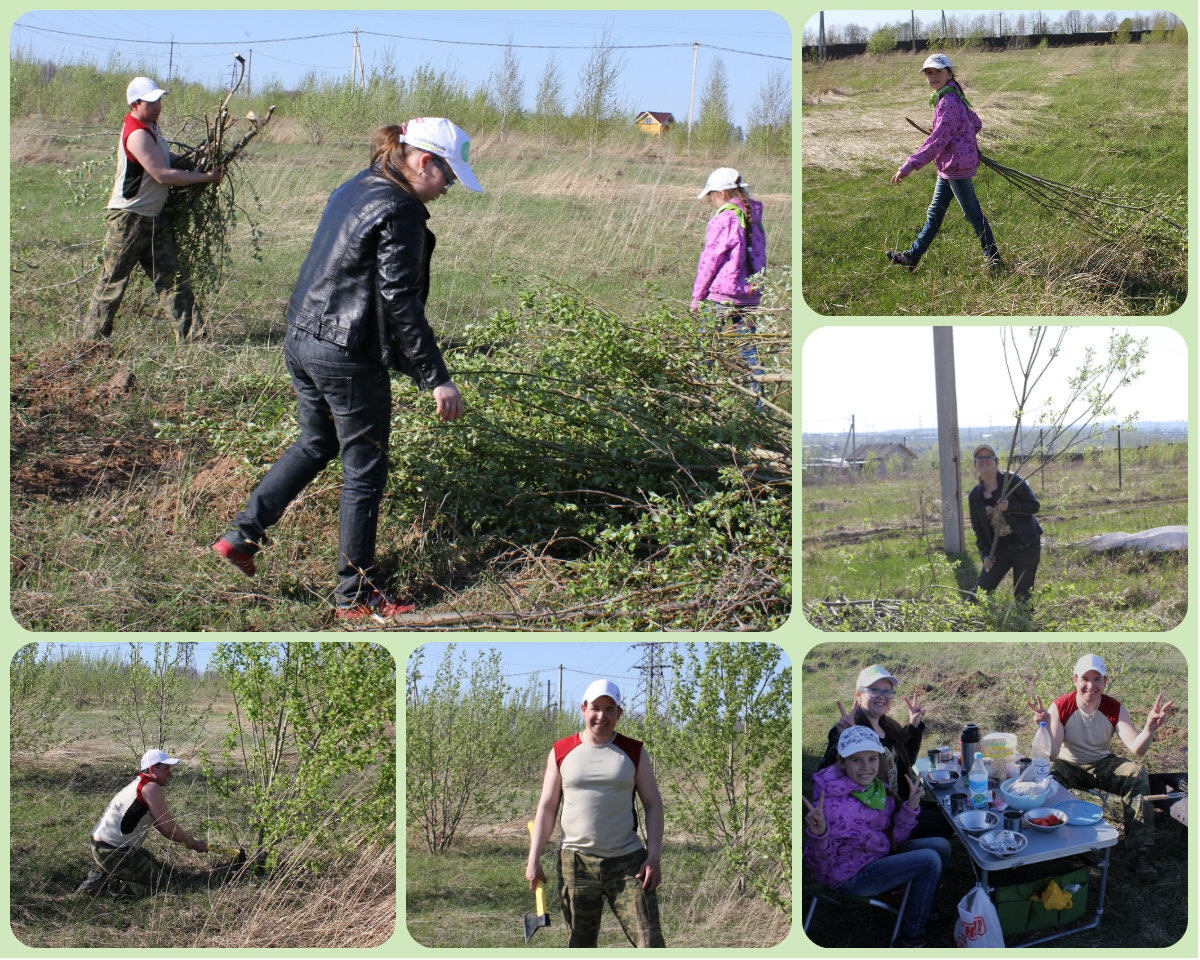 Зачищаем наши 10 соток счастья от поросли