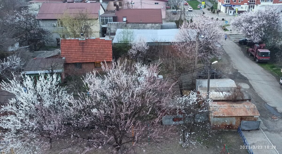 сегодня утром с дождём смотрелось ещё печальнее