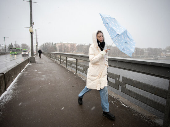     Ветер до 12 метров в секунду ожидается в Псковской области 25 марта / Александр Елисеев
