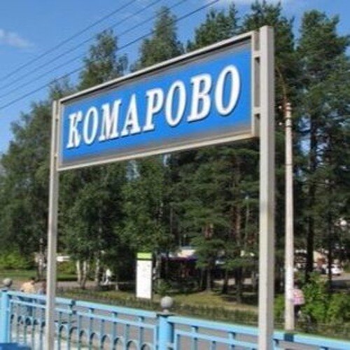 на недельку в комарово. уеду в комарово. комарово до второго. на недельку до второго. нанеделькудовтороваяуедувкомарово.