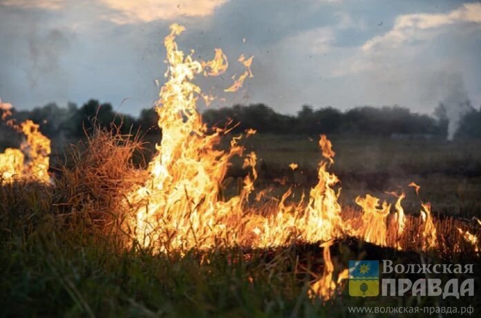      В Волжском начался отжиг сухой растительности для предотвращения пожаров
