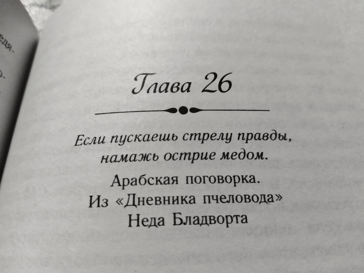 Карен Уайт "Траектория полета".  Картинка сделана автором.