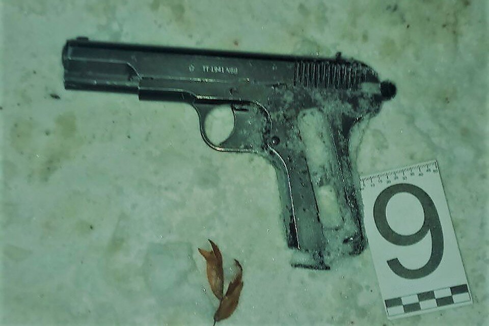     Северянке грозило до пяти лет лишения свободы и штраф до 200 тысяч рублей. Фото: СУ СК России по Мурманской области