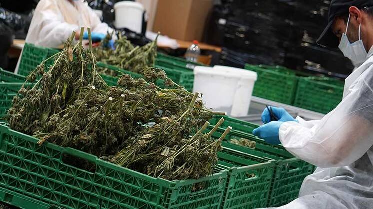    dpa/picture-alliance/TACC