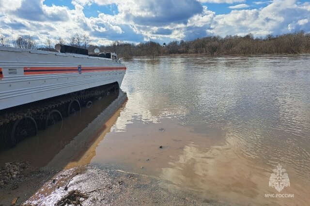    Фото: ГУ МЧС по Тульской области