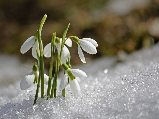     фото: pixabay.com