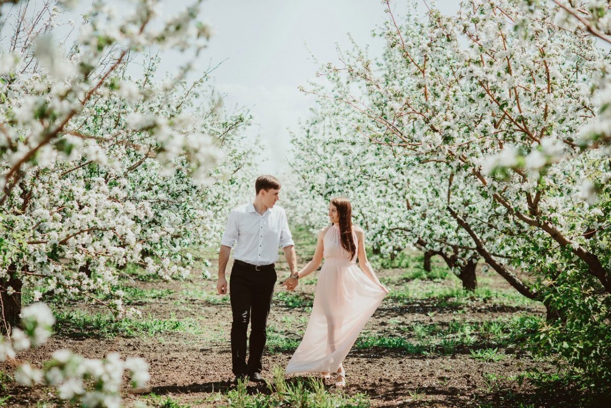 Пара яблонь. Фотосессия в цветущих садах. Фотосессия в яблонях. Свадьба в яблоневом саду. Цветущие сады фотосессия.