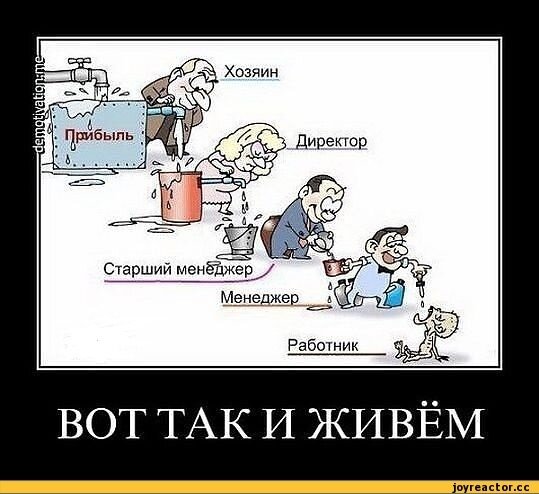 Фото из свободного доступа