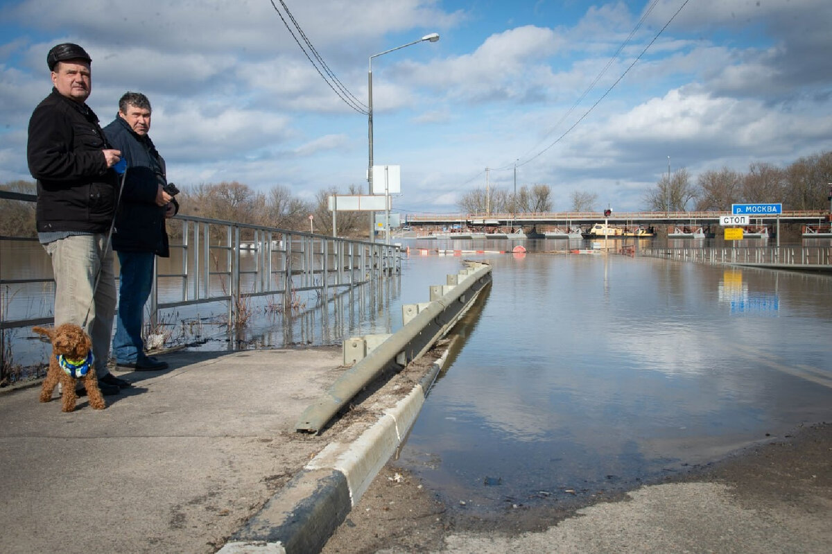 Какой уровень оки сегодня. Паводок. Паводок в Коломне. Коломна половодье. Наводнения в России.
