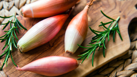    Лук-шалот: сорта, которые можно посадить на своем участке Даниил Шалонников