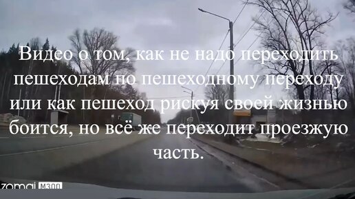 Видео о том, как не надо переходить пешеходам по пешеходному переходу или как пешеход рискуя своей жизнью боится, но всё же переходит дорогу