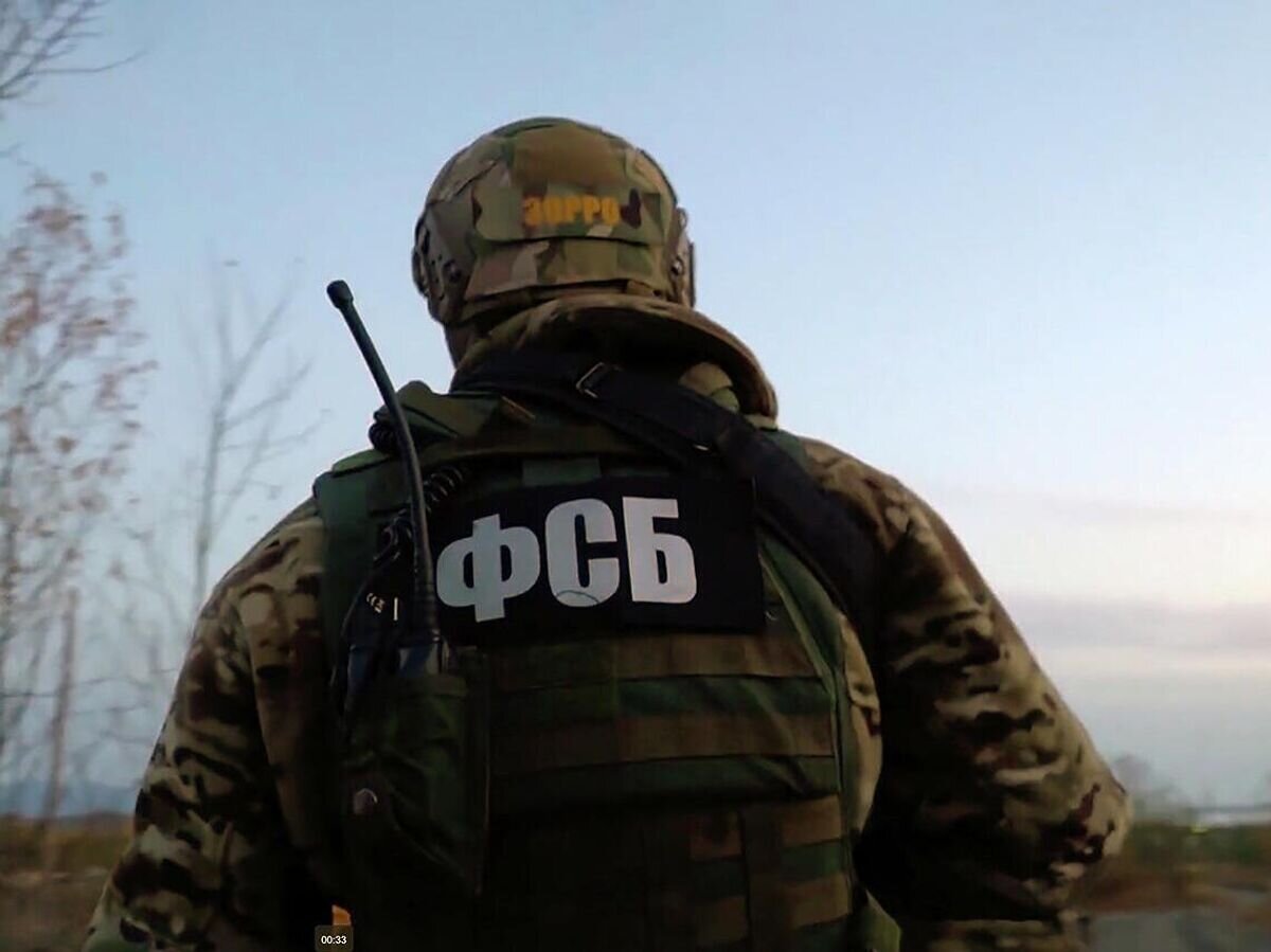    Сотрудник ФСБ России © РИА Новости / ФСБ России