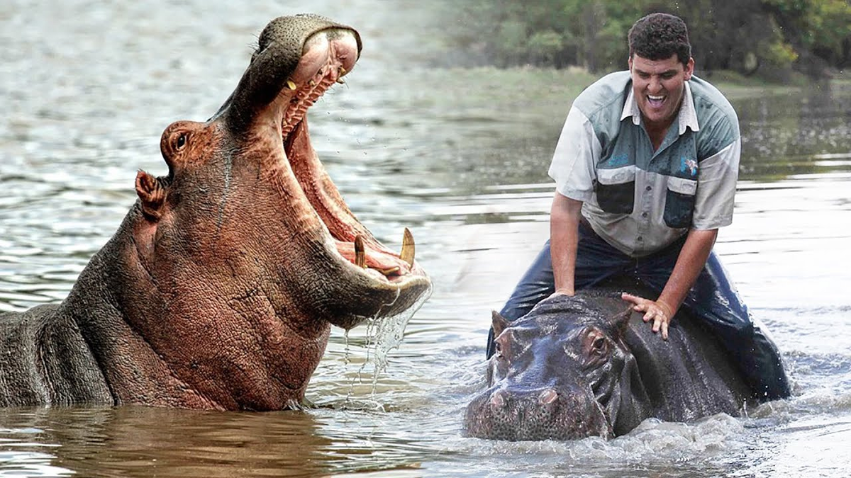 Хочешь узнать факт, который изменит твою жизнь? | Никита Горбачев | Дзен