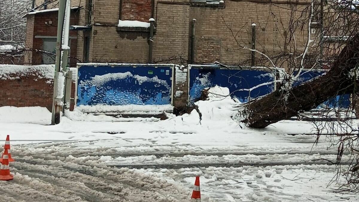     В Ростове причиной остановки трамвайного движения назвали падение дерева на контрактные линии и залитые водой пути, об этом рассказал «Ростовский городской транспорт».