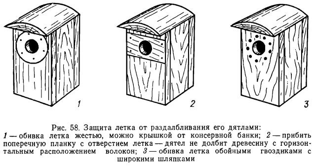 Синичник своими руками