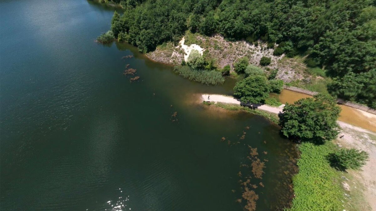 Вид на дерево сверху. Панорама Google карты