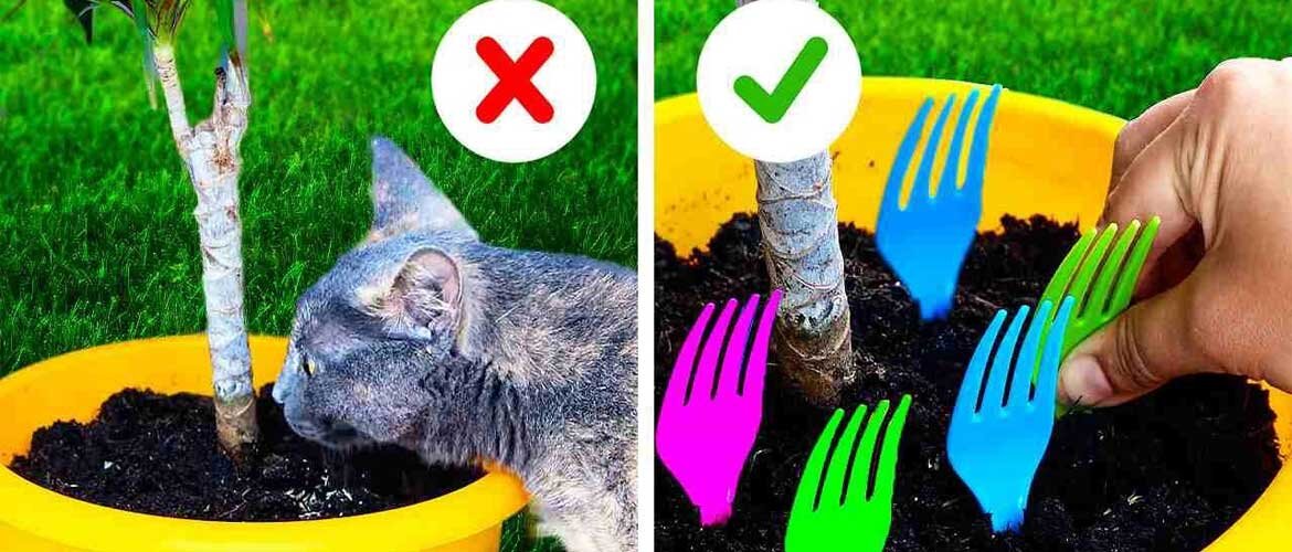 Садовые лайфхаки и полезные советы Часть26