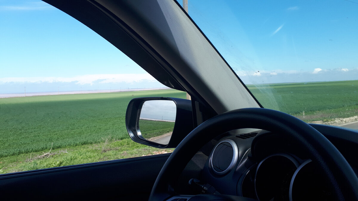 Едем в Симферополь. Поля уже совсем зелёные!