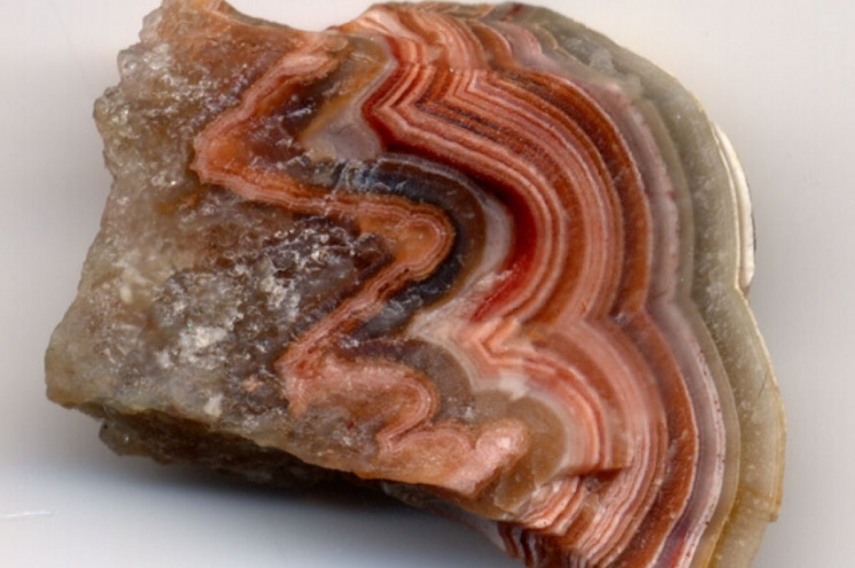    NHM: хранившийся в одном из музеев Лондона агат оказался яйцом динозавра