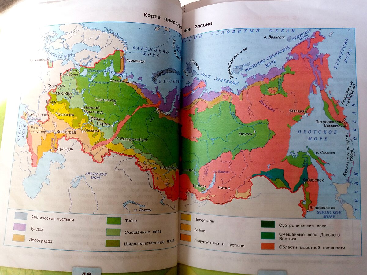 Природные зоны Земли • География, Географическая оболочка • Фоксфорд Учебник