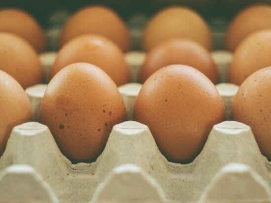     Фото: pxhere.com