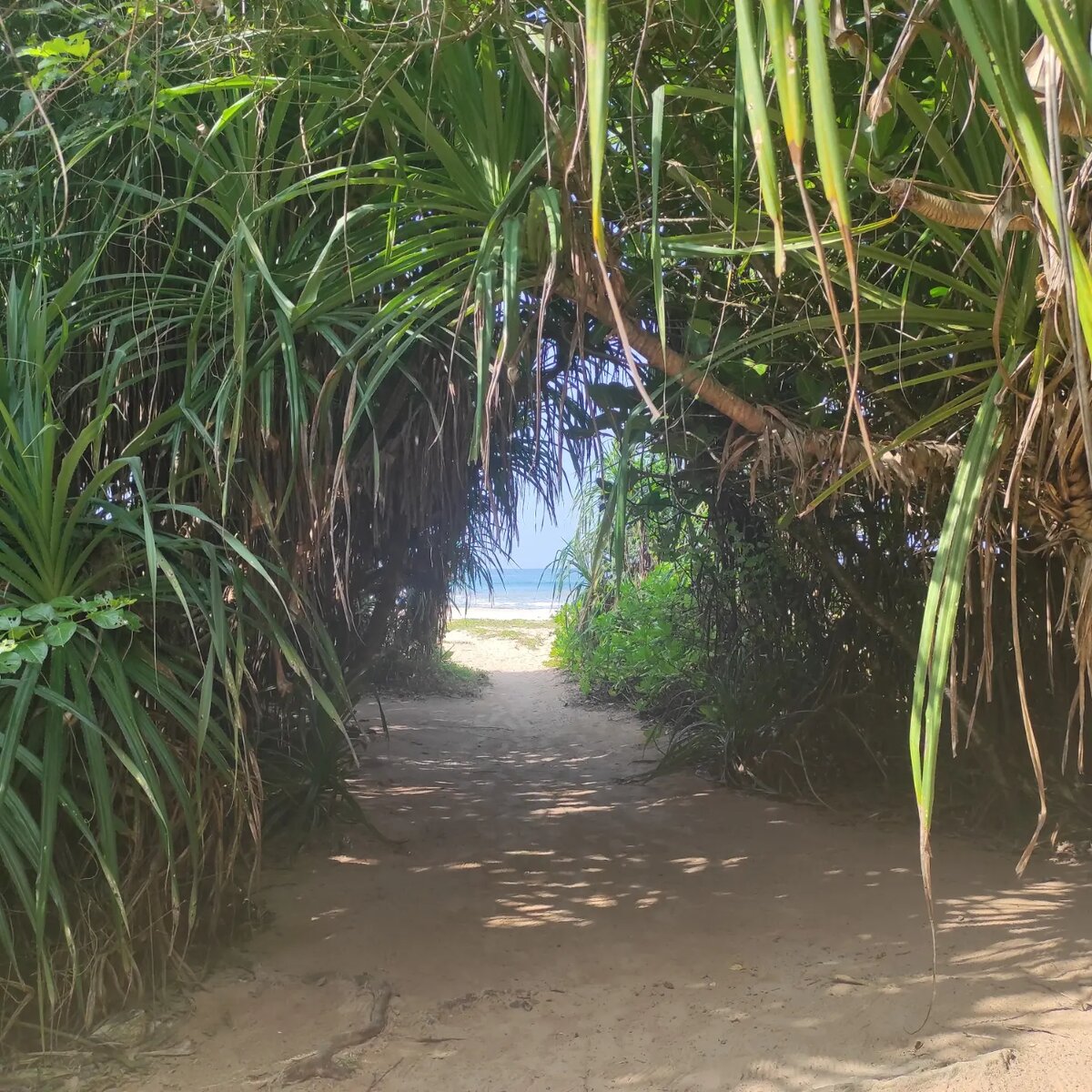 Добро пожаловать в Paradise