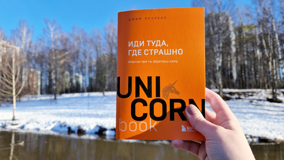 Иди туда где страшно книга