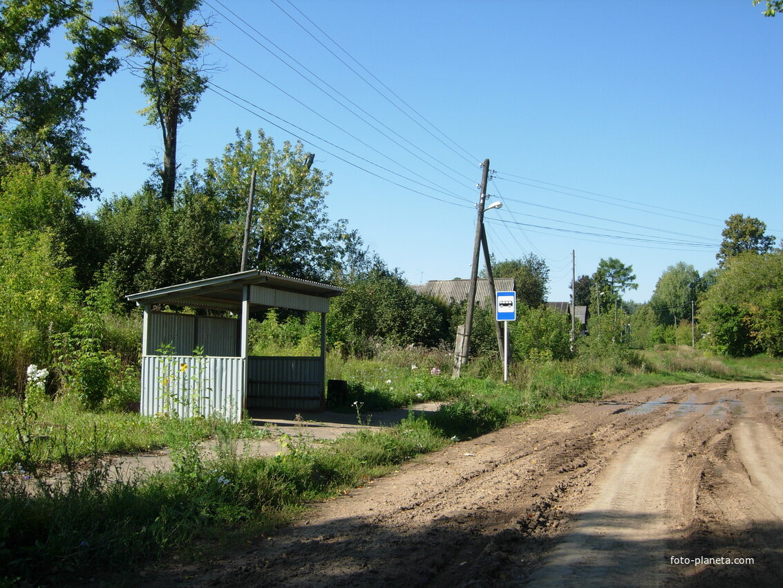 Яндекс. Картинки. 