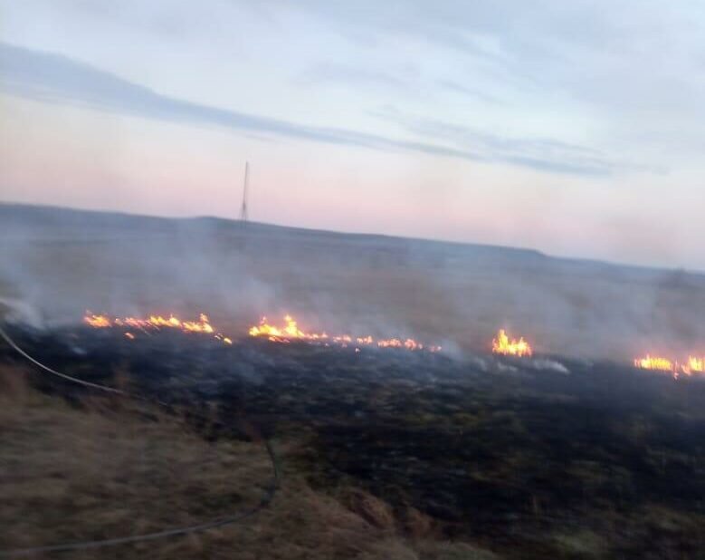    Пожарные тушили возгорание сухой травы в Новосергиевском районе и под Сорочинском Белов Михаил Александрович