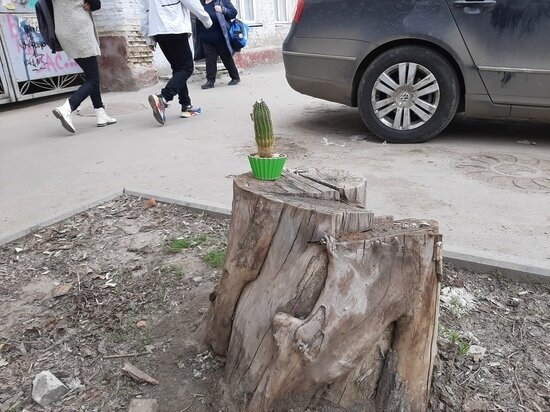     Фото: Евгений Кузнецов
