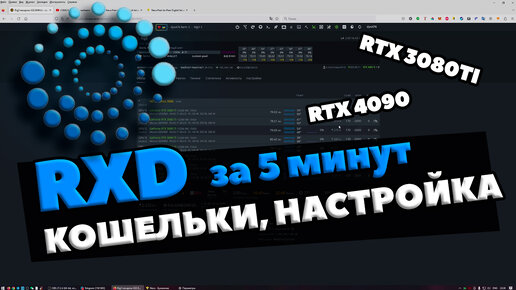 НАСТРОЙКА МАЙНИНГА RXD ЗА 5 МИНУТ. ВИДЫ КОШЕЛЬКОВ. РАЗГОН 4090 И 3080TI. RPLANT И VIPOR