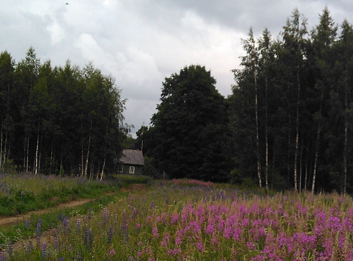 Домик в Псковской области.