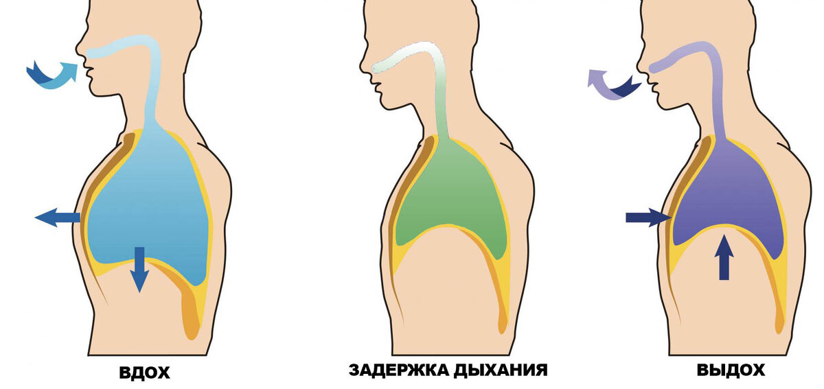 Упражнения, способные рассказать о заболевании легких 