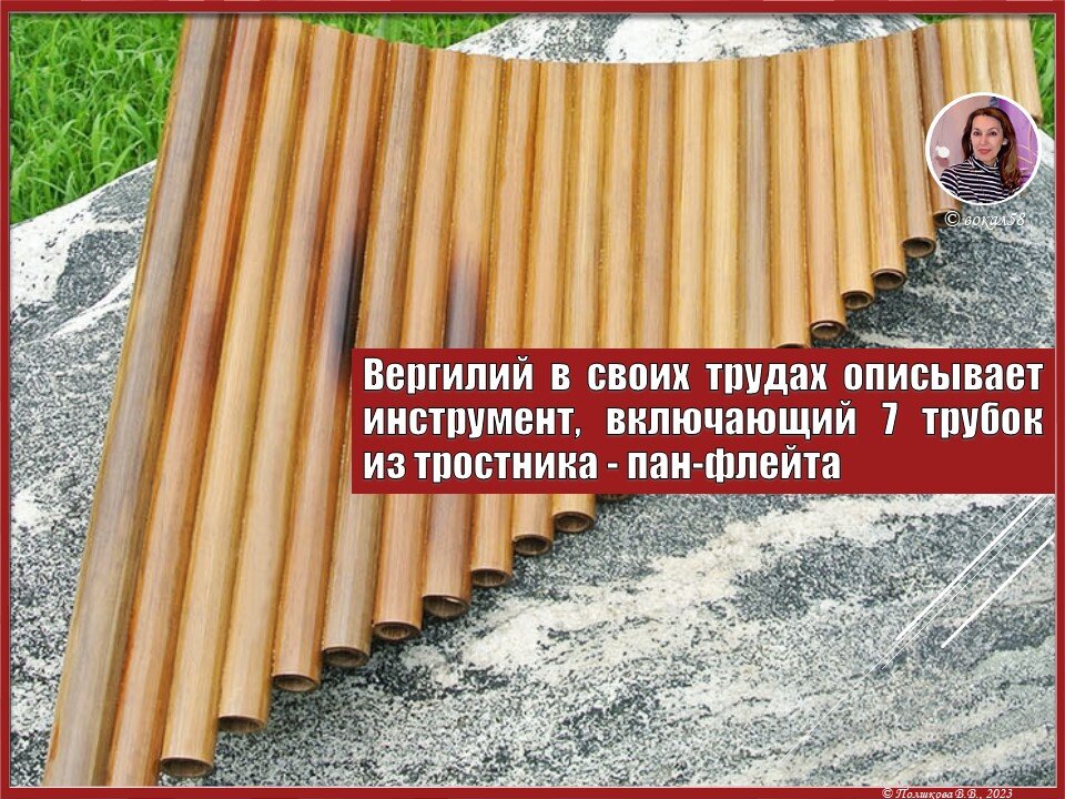 © Полшкова В.В., 2023