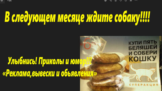 Прикольные фотки! Вывески ,реклама, объявления! Выпуск какой то! 🌴 ...