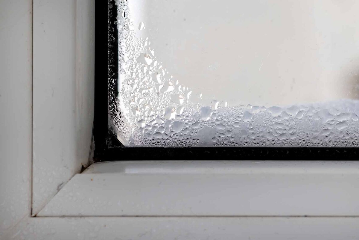 Фотография из открытого источника.