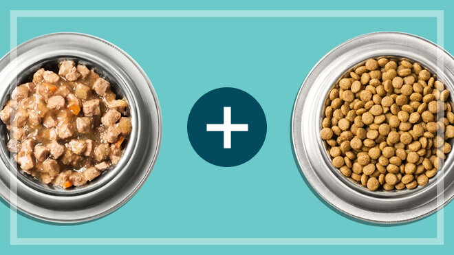 Изображение взято из открытых источников