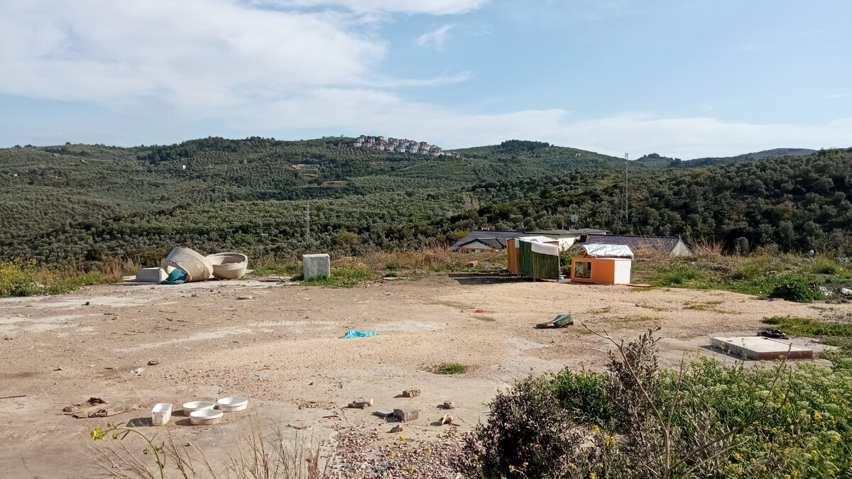 Удивительно, но в этот раз ни одного барбоса мы тут не встретили. Обычно они мирно спят в кустах.