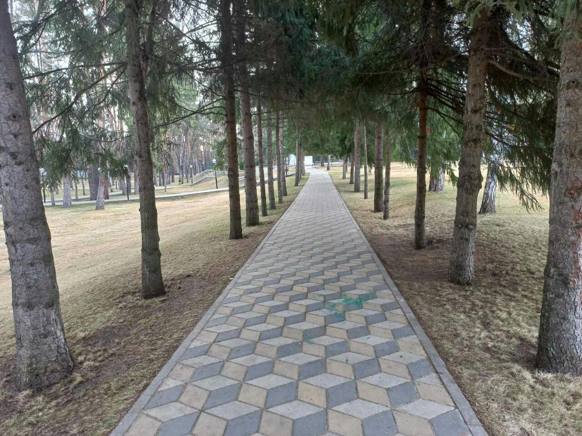 Фото автора.