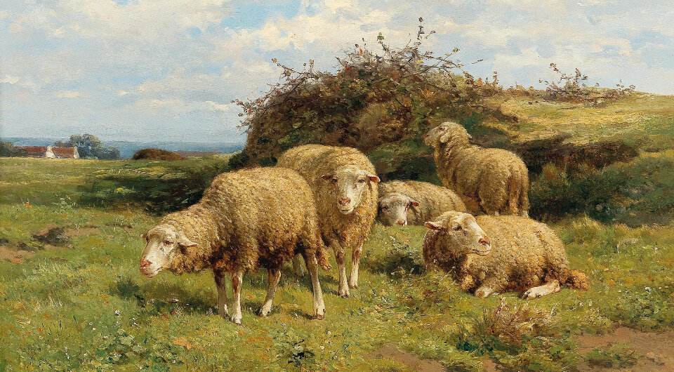   Cornelius Van Leemputten / Sheep in a meadow, 1902 / Private collection